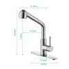 Single Handle Kitchen Sink Faucet with Pull Out Sprayer