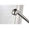 Single Handle Kitchen Sink Faucet with Pull Out Sprayer